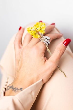 Soft photo of woman hand red manicure, ring on finger, hold cute yellow little dry flower isolated, white background.