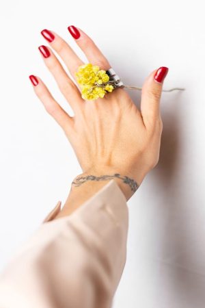 Soft photo of woman hand red manicure, ring on finger, hold cute yellow little dry flower isolated, white background.